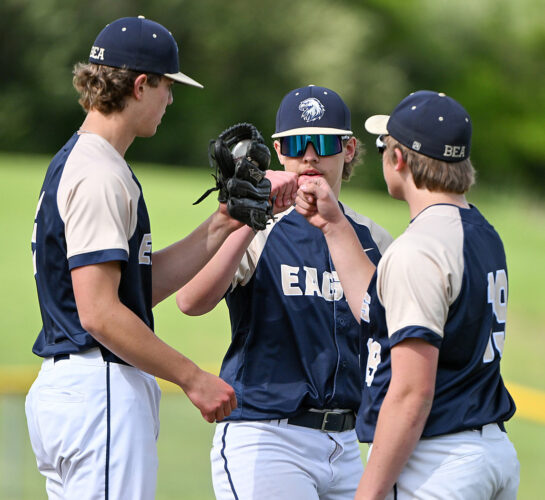 Bald Eagle baseball, softball set to host D6 AAA quarters